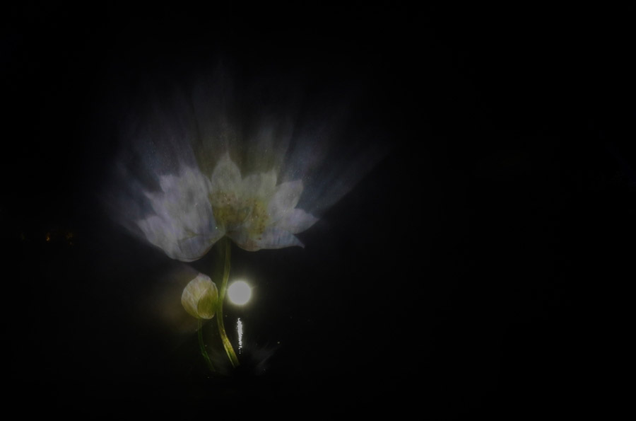 水幕投影比較常見的幾種類型