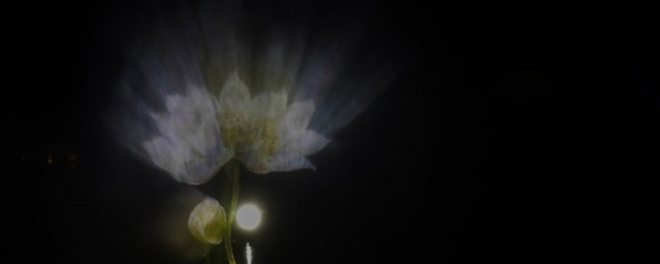 水幕投影比較常見的幾種類型