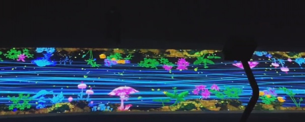 景區(qū)互動光影秀